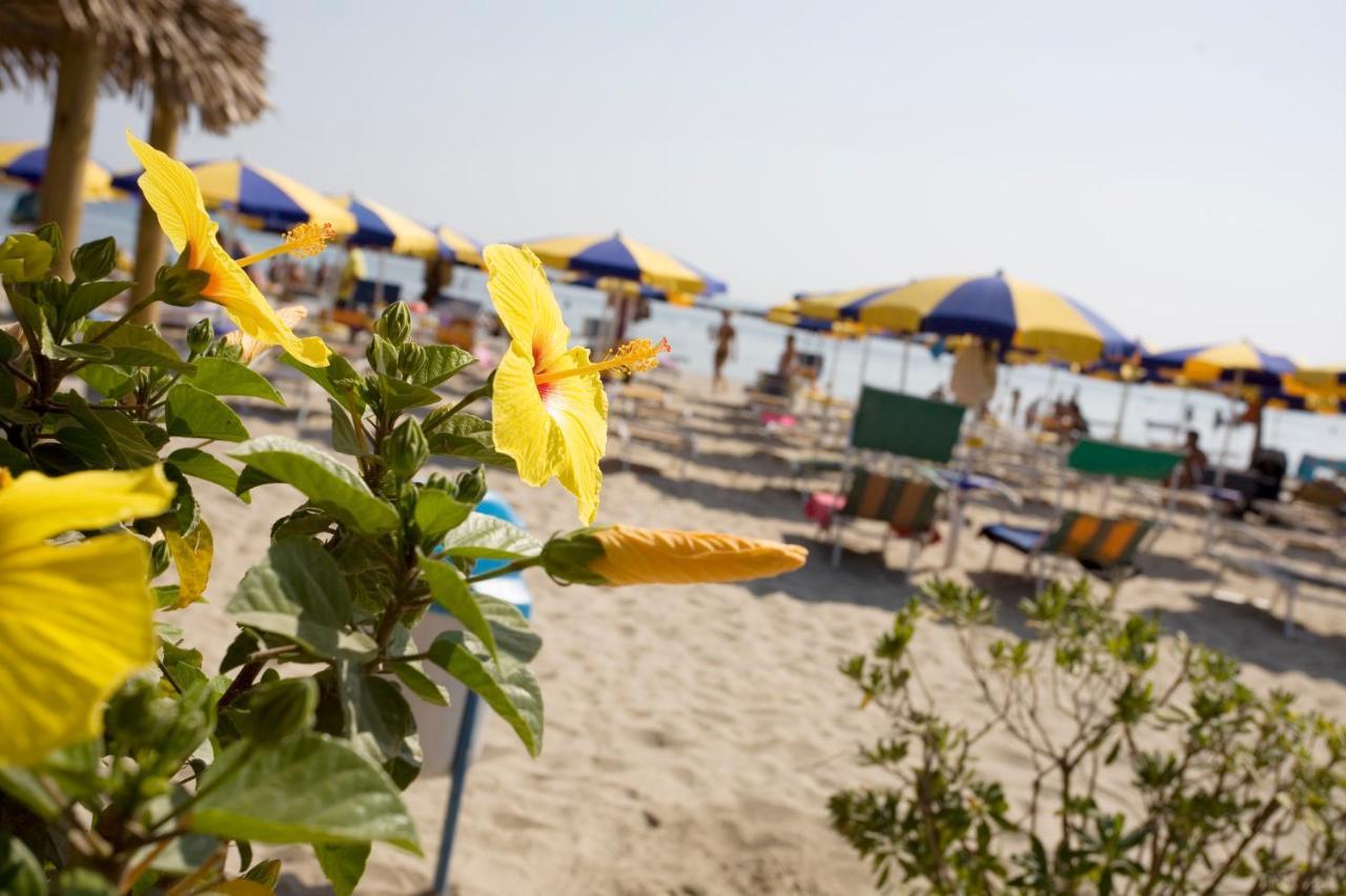 לידו אדריאנו Hotel-Residence-B&B Le Dune Beach Service Included מראה חיצוני תמונה